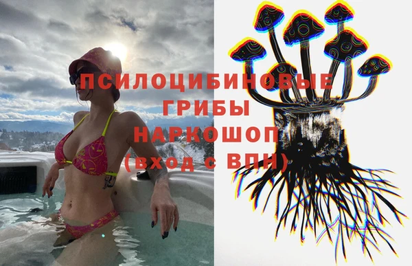 твердый Краснотурьинск