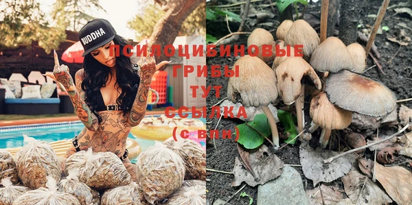 mdma Красноперекопск